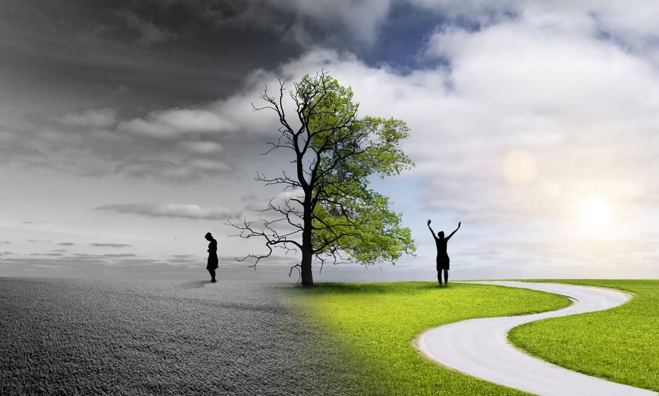 A split image showing two contrasting scenes: on the left, a desolate, gray landscape with a bare tree and a figure standing alone, and on the right, a vibrant green landscape with a flourishing tree and a figure celebrating with arms raised, set against a bright sky.